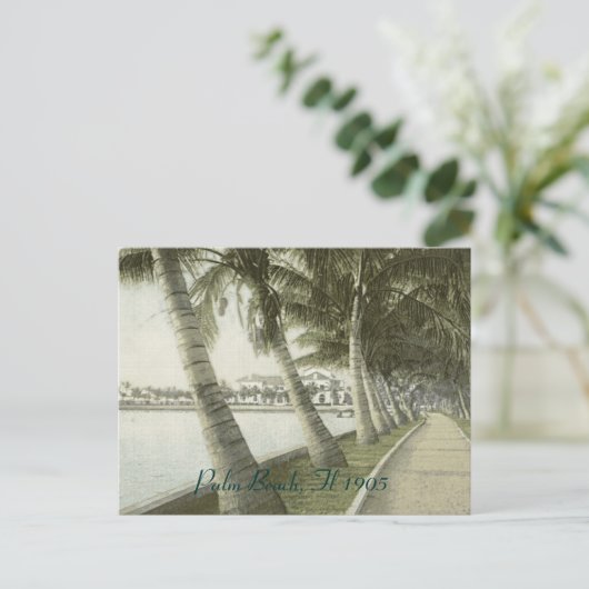 Palm Beach 1905 Postkarte (Stehend Vorderseite)