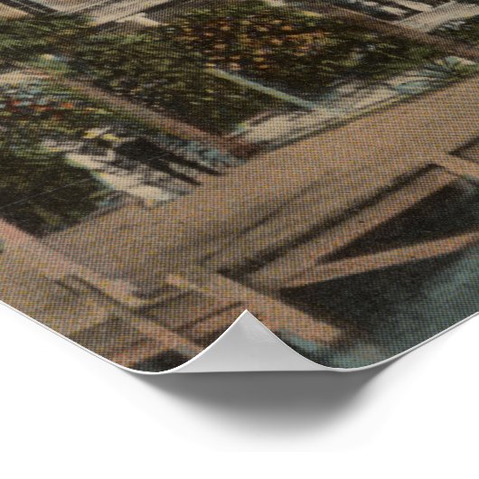 Palm Beach, FL - Außenansicht Palm Beach Poster (Ecke)