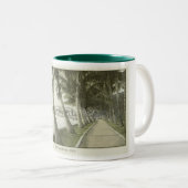 Palm Beach, Fl. ca. 1905 Tasse (VorderseiteRechts)
