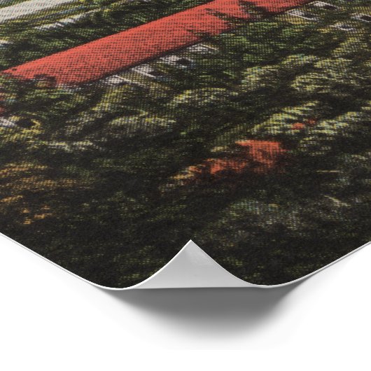 Palm Beach, FL - Whitehall, Poinciana, Beach Poster (Ecke)