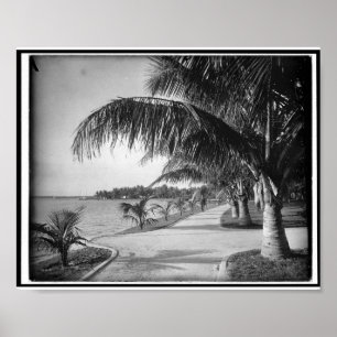 Palm Beach, Florida c1894 Vintag Poster