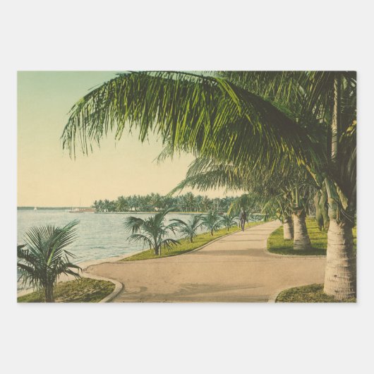 Palm Beach Florida Vintag 1898 Geschenkpapier Set (Vorderseite)