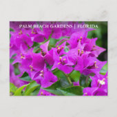 Palm Beach Gardens Florida Floral Travel Postkarte (Vorderseite)