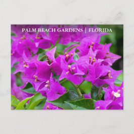 Palm Beach Gardens Florida Floral Travel Postkarte