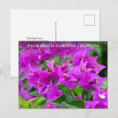 Palm Beach Gardens Florida Postkarte (Vorne/Hinten)