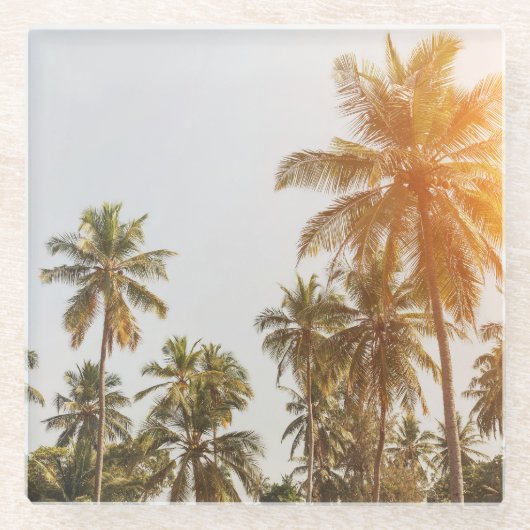 Palm Beach Landschaftliche Aussicht Glasuntersetzer (Vorderseite)