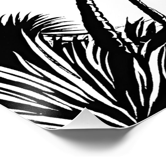 Palm Beach Poster (Ecke)