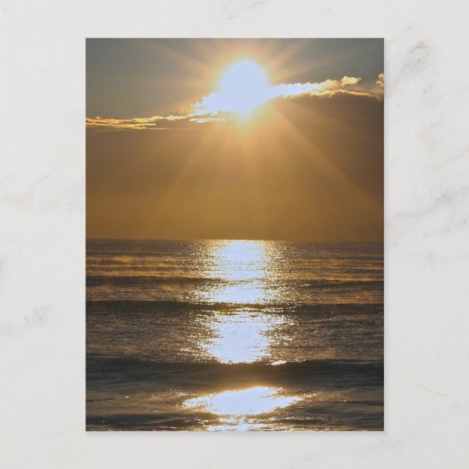 Palm Beach Sonnenaufgang Postkarte (Vorderseite)