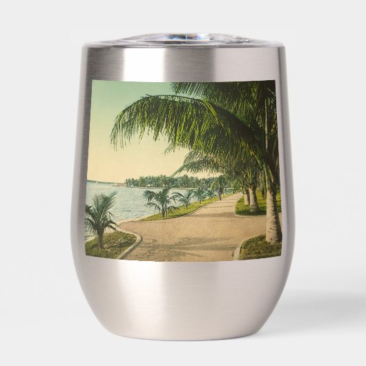 Palm Beach vintage Florida Scene (Vorderseite)