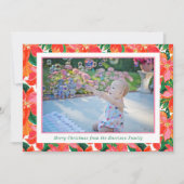 Palm Beach Weihnachten Rosa Orange Poinsettias Fot (Vorderseite)