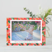 Palm Beach Weihnachten Rosa Orange Poinsettias Fot (Stehend Vorderseite)