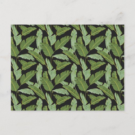 Palm Blätter 2 Postkarte (Vorderseite)