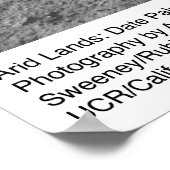 Palm Blätter in der Nähe der Wüste Palm von Ansel Poster (Ecke)