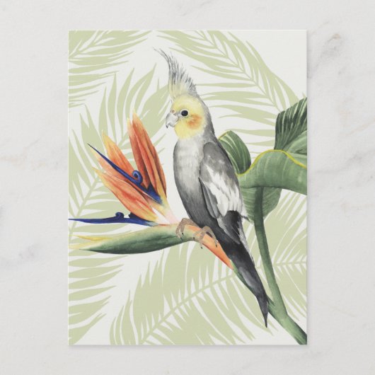 Palm Blätter mit Black Bird Postkarte (Vorderseite)