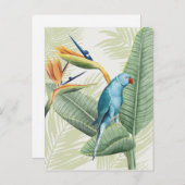 Palm-Blätter mit Blauem Vogel Postkarte (Vorne/Hinten)