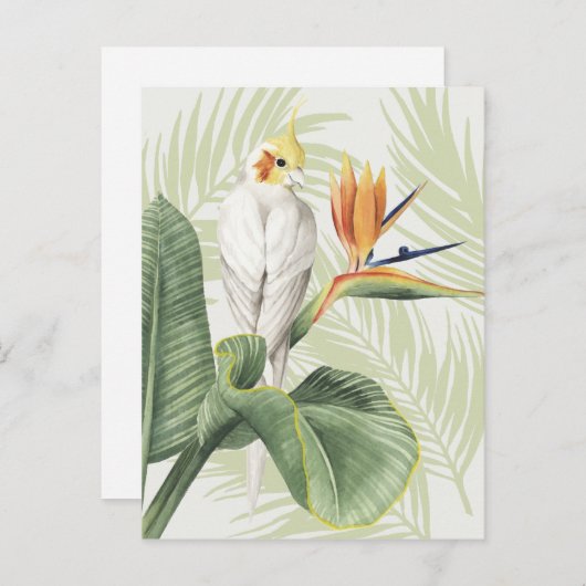 Palm-Blätter mit weißem Vogel Postkarte (Vorne/Hinten)