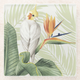 Palm-Blätter mit Weißgeflügel Glasuntersetzer