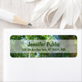 Palm-Blätter Palms-Nature-Vorlage zurückgeben (Insitu)