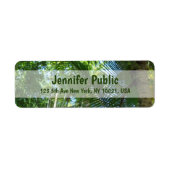 Palm-Blätter Palms-Nature-Vorlage zurückgeben (Vorne)