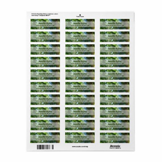 Palm-Blätter Palms-Nature-Vorlage zurückgeben (Vorne)