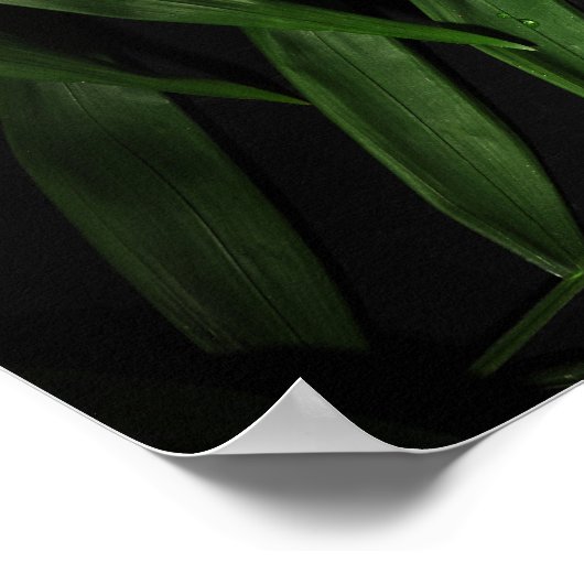 Palm-Blätter Poster (Ecke)