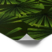 Palm-Blätter Poster (Ecke)