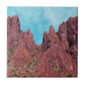 Palm Canyon Arizona Fliese (Vorderseite)