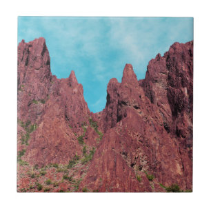 Palm Canyon Arizona Fliese