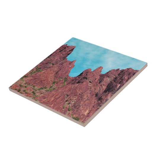 Palm Canyon Arizona Fliese (Seite)