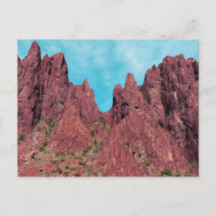 Palm Canyon Arizona Postkarte