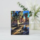Palm Canyon California Postkarte (Stehend Vorderseite)