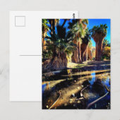 Palm Canyon California Postkarte (Vorne/Hinten)
