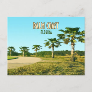 Palm Coast Florida Palmen Vintage Postkarte
