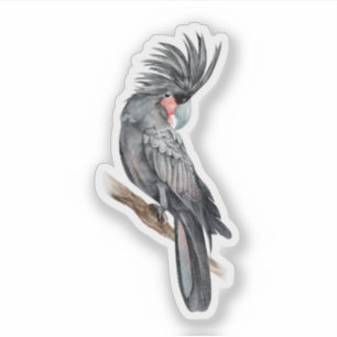 Palm Cockatoo, kundenspezifisch geschnitten Vinyl Aufkleber