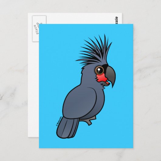 Palm Cockatoo Postkarte (Vorne/Hinten)