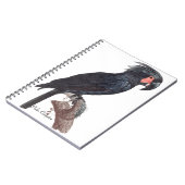 Palm Cockatoo, Probosciger aterrimus Notizblock (Linke Seite)