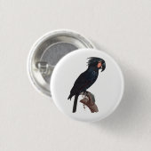 Palm Cockatoo, Probosciger aterrimus Parrot Button (Vorne & Hinten)