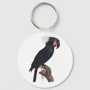 Palm Cockatoo, Probosciger aterrimus Parrot Schlüsselanhänger