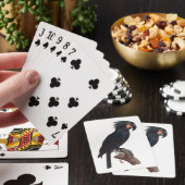 Palm Cockatoo, Probosciger aterrimus Parrot Spielkarten (In Situ)