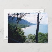 Palm Cove Postkarte (Vorne/Hinten)