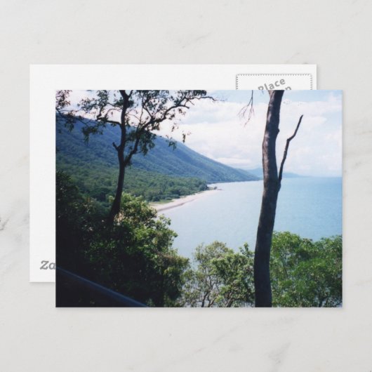 Palm Cove Postkarte (Vorne/Hinten)