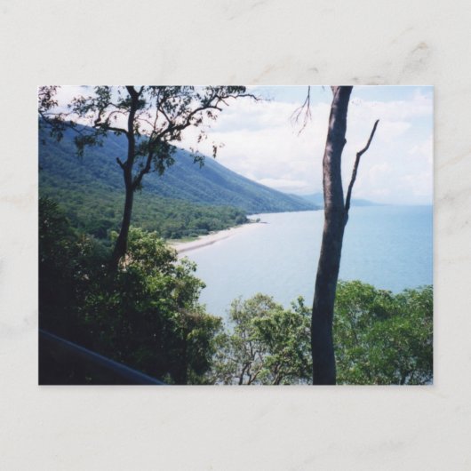 Palm Cove Postkarte (Vorderseite)