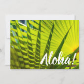 Palm Fan, Kilauea, Kauai, Hawaii Einladung (Vorderseite)