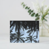 Palm Fill Sky Postkarte (Stehend Vorderseite)