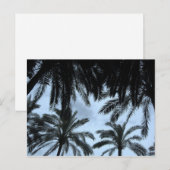 Palm Fill Sky Postkarte (Vorne/Hinten)