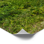 Palm Fringed Kolovai Beach Poster (Ecke)