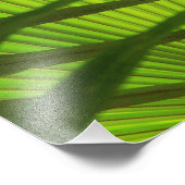 Palm Frond Layers, Landschaftsmuster Abstrakt Fotodruck (Ecke)