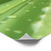 Palm Frond Poster (Ecke)