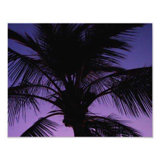 Palm Frond Silhouette Fotodruck (Vorne)