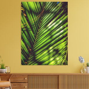 Palm Frontend, Pine Needles und Shadows Canvas Pri Leinwanddruck